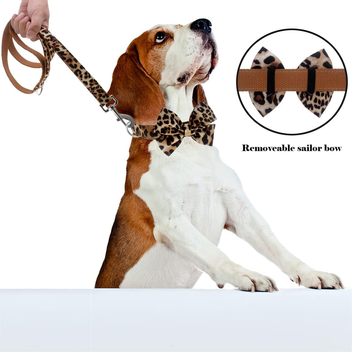 Dog Collar with Bow, Cotton & Webbing, Detachable Bowtie Dog Collar, Adjustable Dog Collars and Leash for Small Medium Large Dogs (S, Leopard Print)
